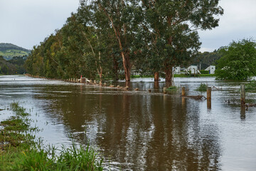 Yarra River Breaks It's Banks Between Yarra Glen and Coldstream, Victoria. Extensive Flooding of...