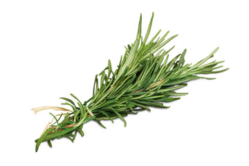 Rosemary herb isolated white green branch food