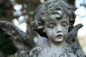 Fototapeta na wymiar Beautiful statue of angel at cemetery, closeup. Religious symbol