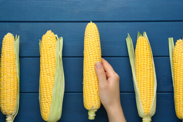 Woman with corncob on blue wooden table, top view