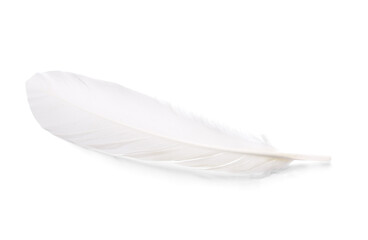 One fluffy beautiful feather isolated on white, top view