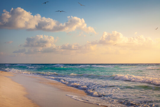 Cancun idyllic caribbean beach at sunset, Riviera Maya, Mexico - Powered by Adobe