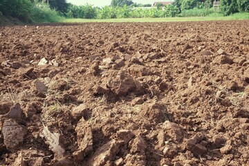 plowed field in spring