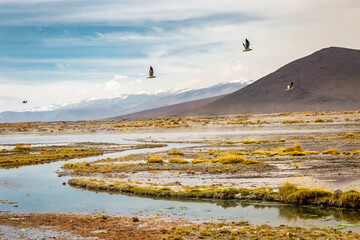 Salar de Atacama volcanic landscape and salt lake in Atacama Desert, Chile