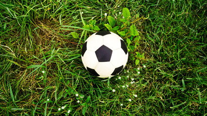 Balls on the grass