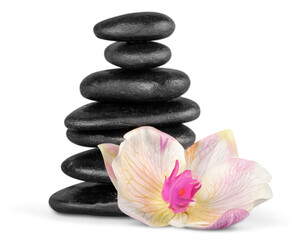 Zen basalt stones and flower on background