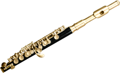 Musical instrument flute isolated on white background