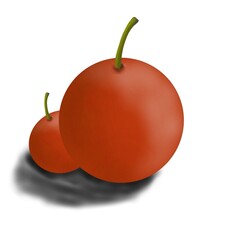 Cherry fruit illustration