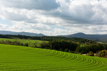 見事な螺旋状の緑の畑