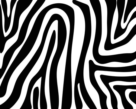 vector zebra skin pattern texture.