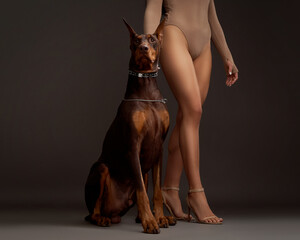 fashion dog portrait with woman legs