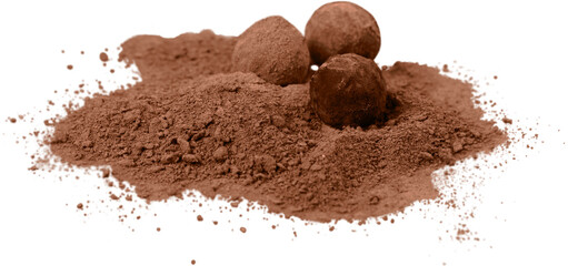 Chocolate truffles sweet candy with powder