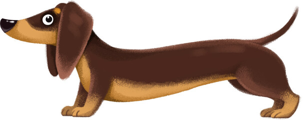 Dachshund dog in cartoon childish style. cute cartoon dachshund