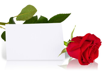Beautiful red rose and card  isolated on white background