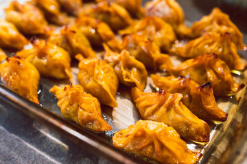 healthy plant-based food, homemade vegetable wonton dumplings