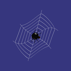 a web with a black spider on a dark background