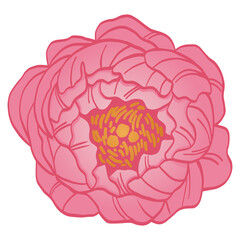 Peony Pink Flower Floral Line Art Drawing Illustration Logo Vector Icon