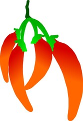 The illustrations and clipart. Vector image. 4 red hot chili hanging on the white background.