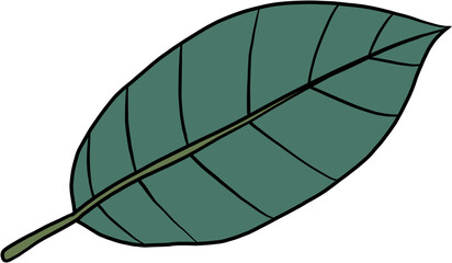 simplicity kratom leaf freehand drawing