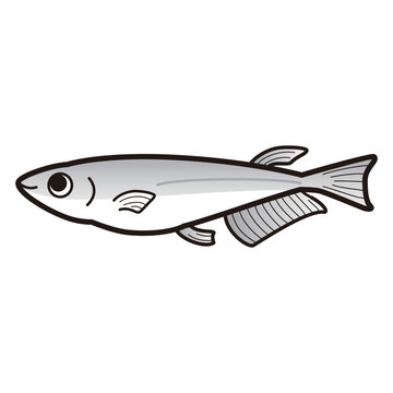 recommend clip art: シンプルなメダカのイラスト（白黒）