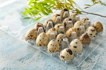 Plastic holder with fresh quail eggs on color background, closeup - obrazy, fototapety, plakaty