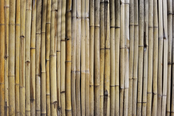 close up of bamboo texture for background                              