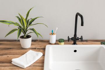Fototapeta na wymiar Bath accessories, houseplant and sink on table near light wall