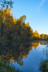 Colorful trees at a small lake a sunny autumn morning in Stockholm
