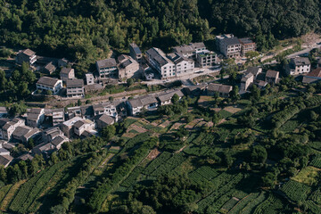 Rural Chinese Mountain Villages and Terraced Tea Fields, Yandang Mountain, Zhejiang Province, China
