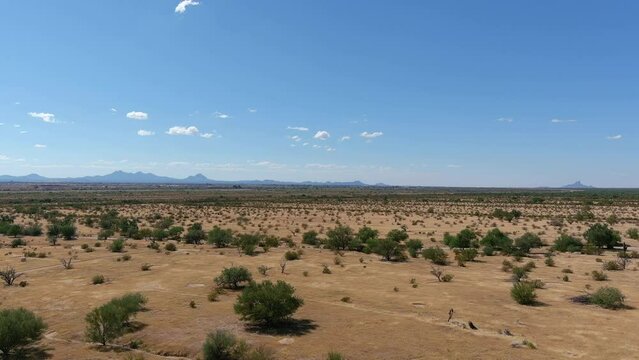 Wide aerial shot of the Sonoran desert in Arizona, slow moving drone shot with small plants and trees