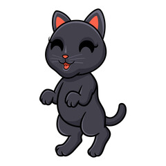 Obraz premium Cute bombay cat cartoon standing