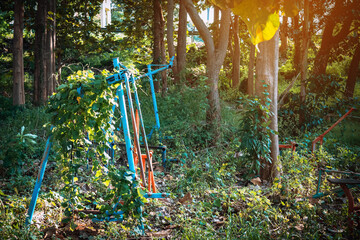 Old outdoor exercise equipment so worn out and covered in trees in outdoor exercise park. Old...
