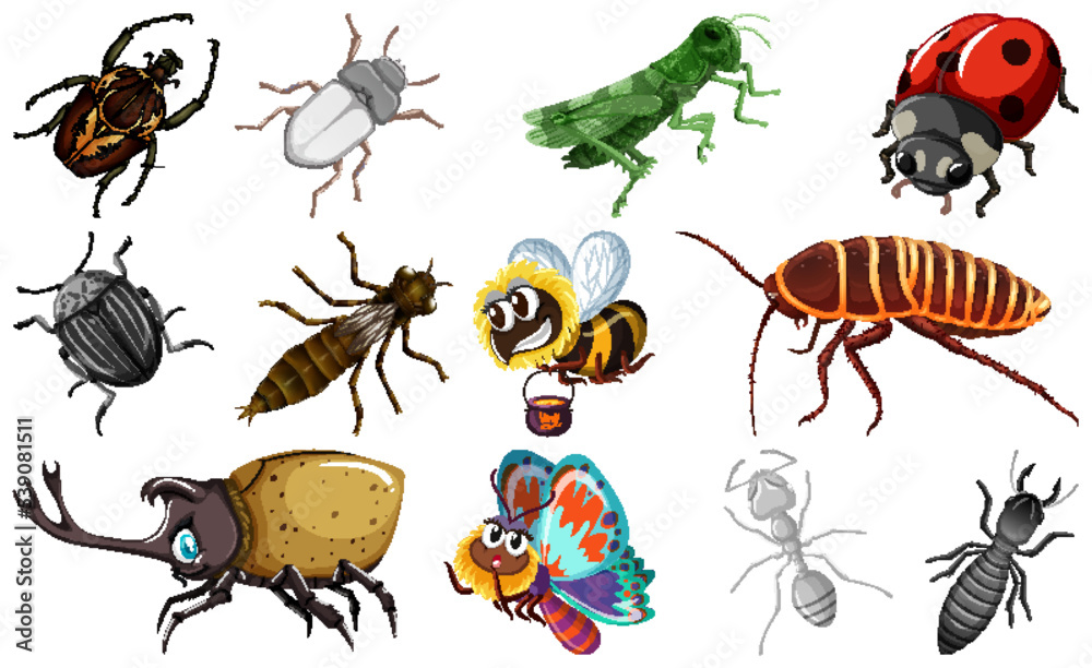 Sticker different kinds of insects collection