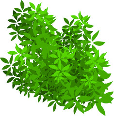 green bush element