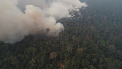 Dangerous wildfires. A lot of white smoke is due to forest fires in a tropical forests.