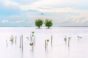 Bangsan Chonburi,Thailand
