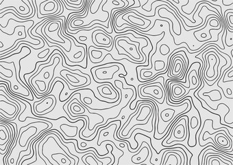 Topographic Map in Contour Line