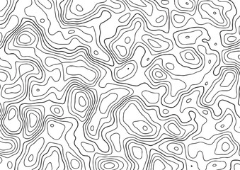 Topographic Map in Contour Line