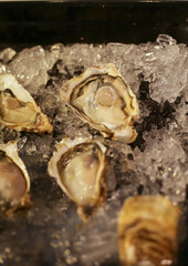   Fresh oysters on ice at a seafood restaurant. Ready for eat or serving, Selective focus. Oysters are protein rich and raw with lemon a delicacy