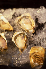   Fresh oysters on ice at a seafood restaurant. Ready for eat or serving, Selective focus. Oysters are protein rich and raw with lemon a delicacy