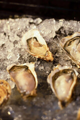   Fresh oysters on ice at a seafood restaurant. Ready for eat or serving, Selective focus. Oysters are protein rich and raw with lemon a delicacy