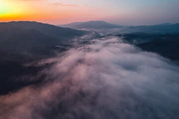 Morning fog and clouds in the hill forest