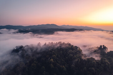 Morning fog and clouds in the hill forest