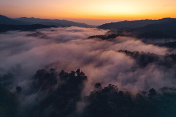 Morning fog and clouds in the hill forest