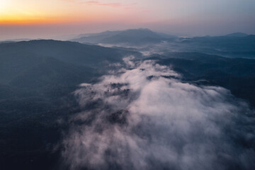 Morning fog and clouds in the hill forest