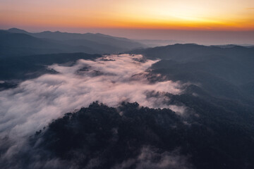 Morning fog and clouds in the hill forest