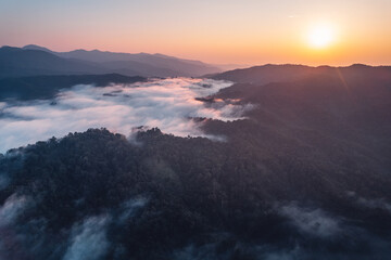 Morning fog and clouds in the hill forest
