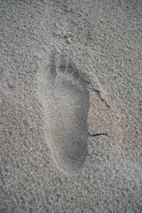 foot prints on the sandy beach in summer