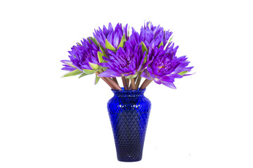 Purple lotus vase on white background