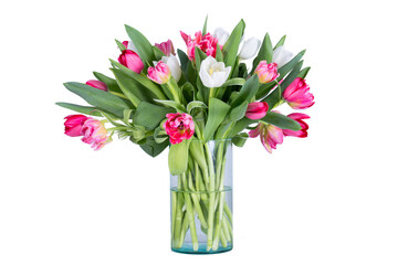 Vase of many tulip in white background